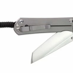 CHRIS REEVE KNIVES Chris Reeve Large Sebenza 31 Sprint Tanto S35VN Glass Blast Titanium Folder