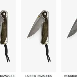 CHRIS REEVE KNIVES Chris Reeves Large Sebenza 31 Bog Oak