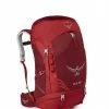 OSPREY PACKS Osprey ACE 38 Kids Overnight Backpack Backpacks