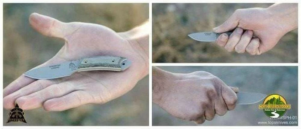 TOPS KNIVES TOPS Sparrow Hawke Knife 4 TOPS KNIVES TOPS Sparrow Hawke Knife